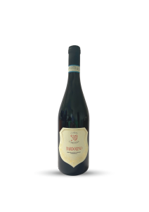 Vino rosso Bardolino red wine Lago lake Garda