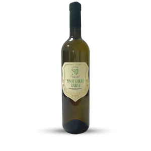 Pinot grigio white wine italy