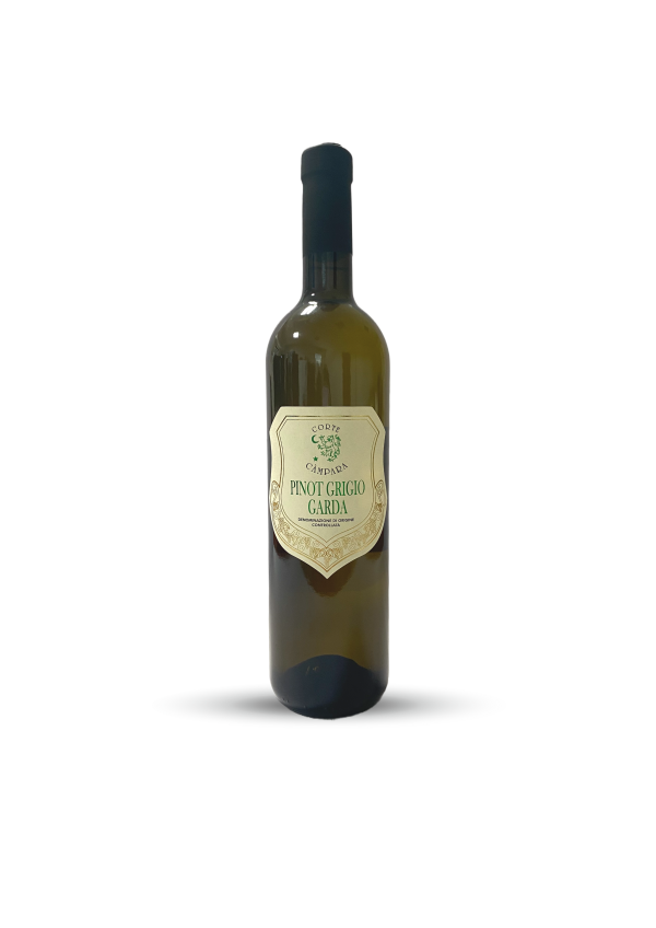 Pinot grigio white wine italy