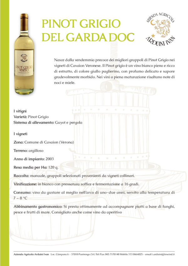 Pinot Grey from Garda DOC - Image 2